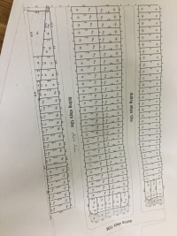 Cần bán thửa đất 600 lô B53, tờ bản đồ 29 ở Phường An Phú Đông – Quận 12 – TPHCM