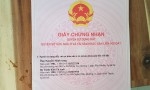 Chính Chủ Bán đất vị trí đẹp tại  Huyện Bình Chánh, Tp.HCM